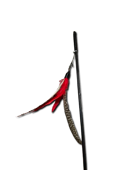Interactive Cat Wand Toy with Real Feathers | Perfect for Playtime