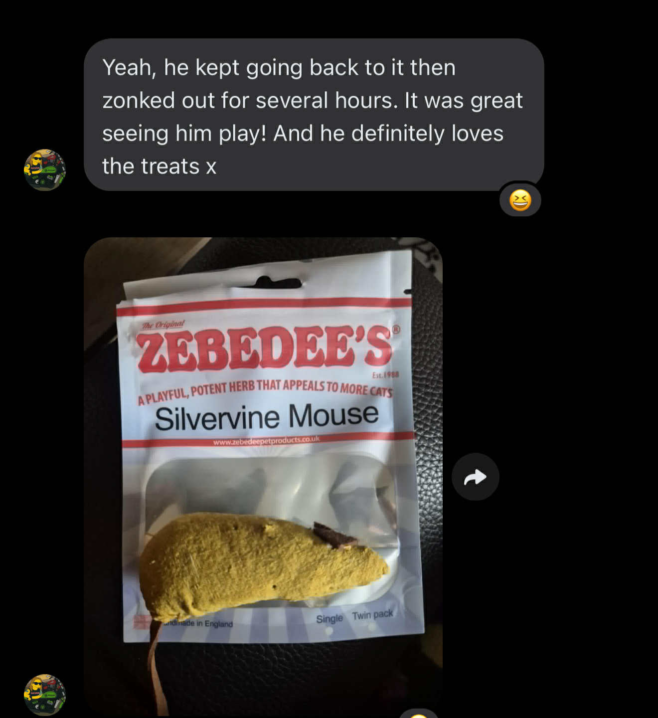 Handmade Silvervine Mouse Toy – Zebedee’s Original 2 Pack (UK)